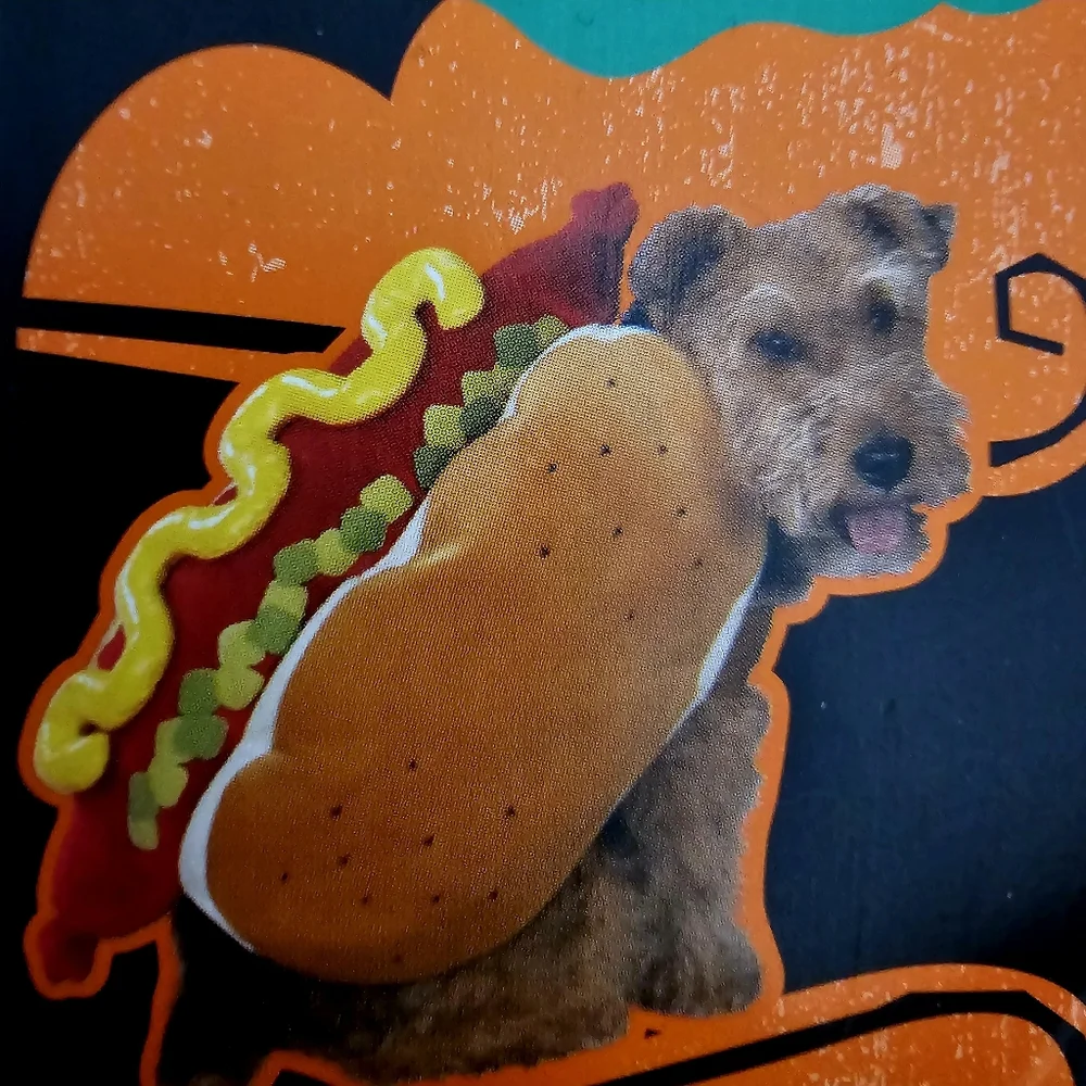 New Hot Dog Pet Costume Sz M